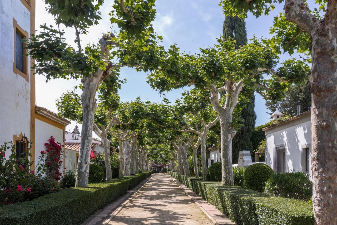 El Cortijo De Los Mimbrales إل روثيو المظهر الخارجي الصورة